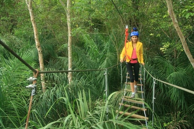 Tree Climbing In Bonito - Customer Feedback