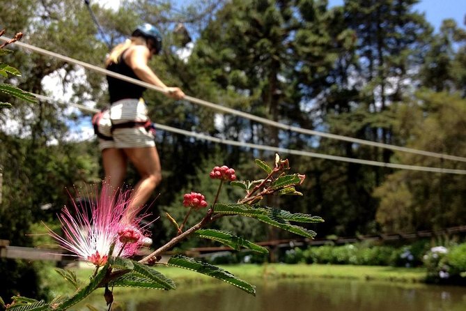 Tree Climbing in Horto Florestal - Campos Do Jordão - Difficulty and Duration