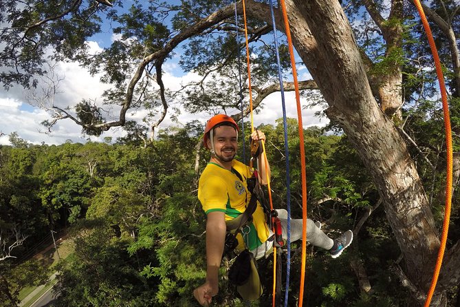 Tree Climbing in the Amazon - Highlights of the Experience