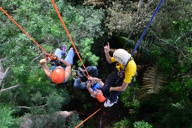 Tree Climbing in the Amazon - Customer Feedback Analysis
