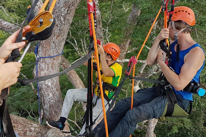 Tree Climbing in the Amazon - Safety Equipment and Insurance