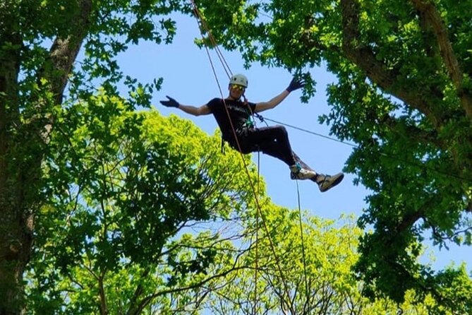 Tree Climbing Taster Session - Booking Information