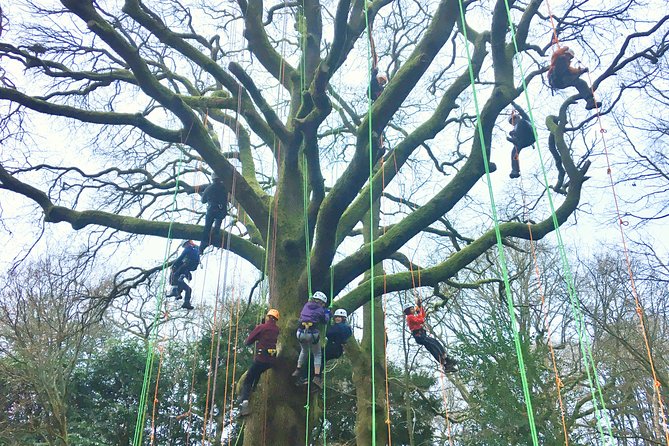 Tree Climbing Taster Session - Instructor