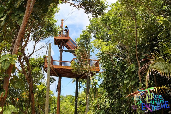 Tree Limin Extreme Zipline - Booking and Reservations