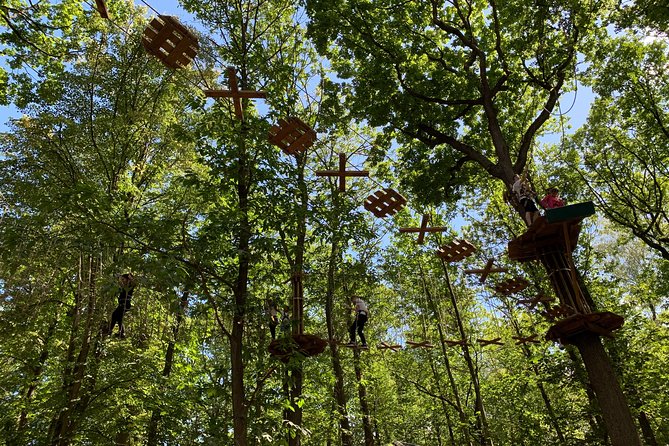 Tree Top Adventure in Forest of Meudon - Tour Group Size