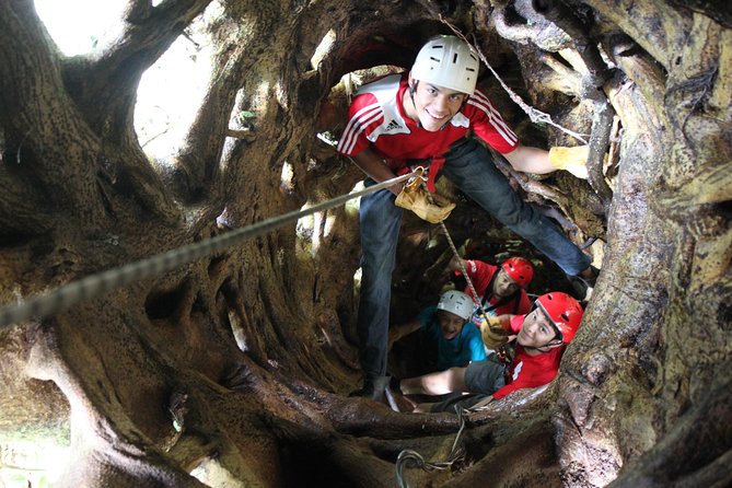 Tree Top Climbing Monteverde - What to Expect