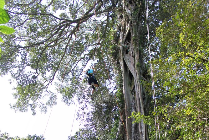Tree Top Climbing Monteverde - Getting to the Location