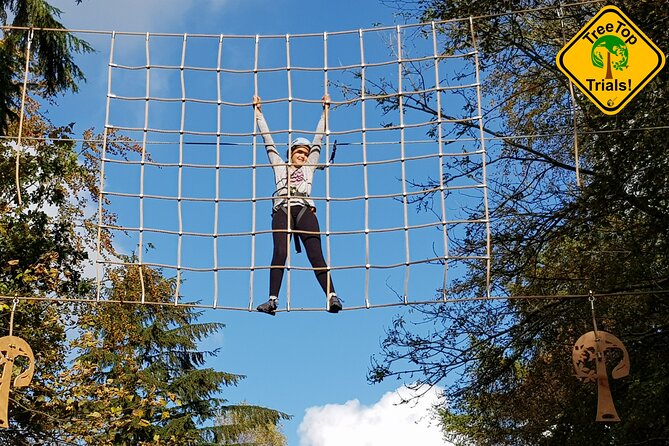 Tree Top Highwire - 2 Different Courses for Different Age Groups - Key Points