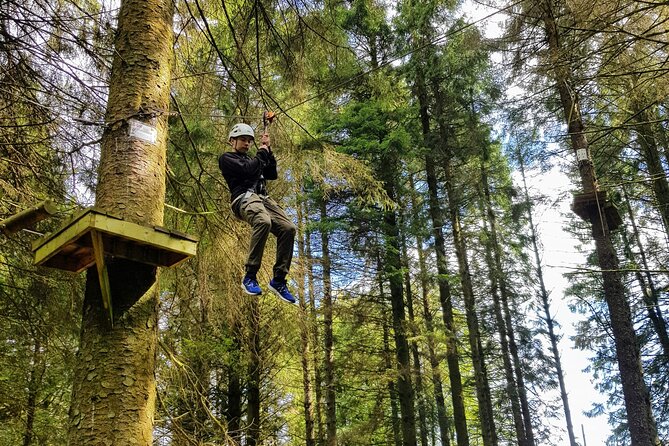 Tree Top Highwire - 2 Different Courses for Different Age Groups - Highlights and Experiences