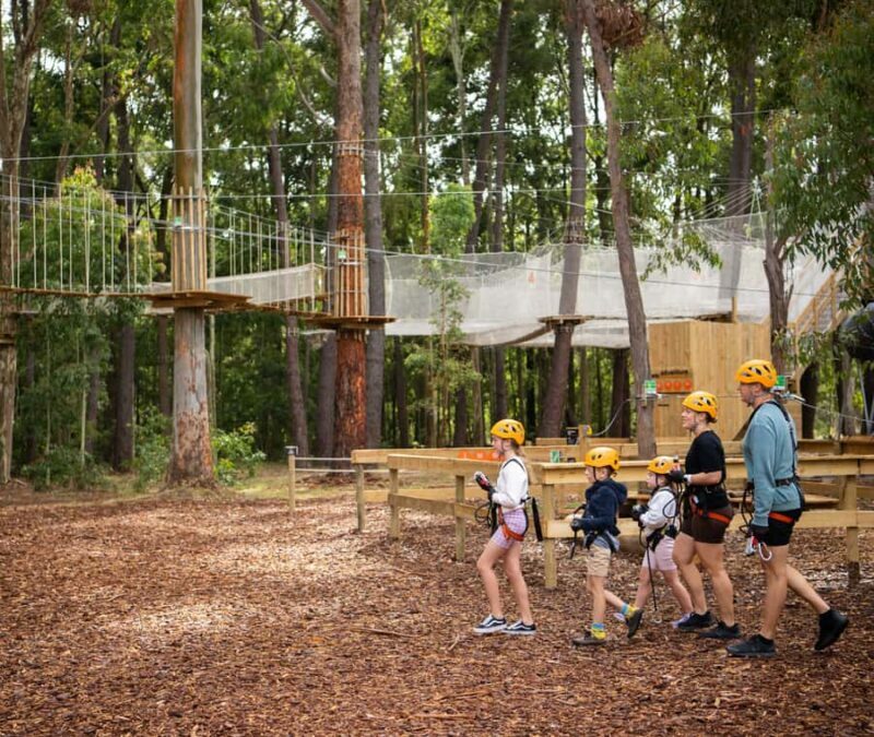TreeClimb Kuitpo Forest: Exciting Treetop Climbing Adventure - Final Thoughts