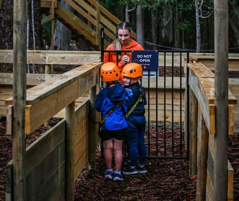 TreeClimb Kuitpo Forest: Treetop Fun For Little Adventurers - The Course Details and Experience Quality