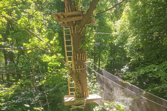 Treetop Adventure Course in the Heart of Poissy - Course Overview