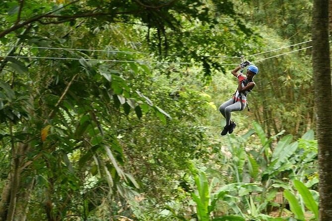 Treetop Adventure Park Canopy Tour - Pickup Options and Location