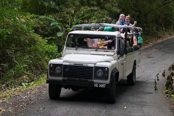 Treetop Adventure Park Canopy Tour - Additional Information