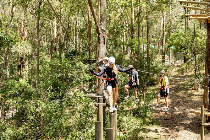 TreeTop Challenge Currumbin Wildlife Park - Final Thoughts: Who Should Consider This Adventure?