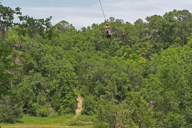 Treetop Express Zip Line Tour With 5 Zip Line Flights & 2 Sky Bridges Included - Zip Line Experience and Features