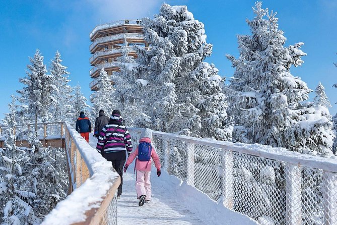 Treetop Walk in Slovakia and Thermal Baths From Krakow - Included and Additional Fees