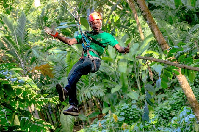 Treetop Zipline Experience From Castries - Thrill of Ziplining Adventure