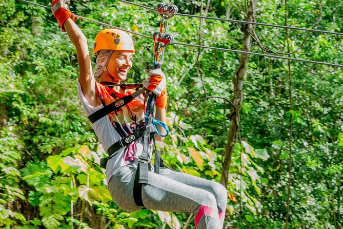 Treetop Zipline Experience From Castries - Transportation and Meeting Details