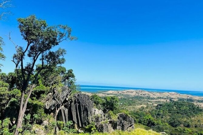 Treetops Zipline Tour With Drop off Transfer to Nadi Airport - Health and Accessibility