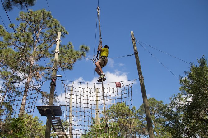 TreeUmph Adventure Course - Meeting Location and Details