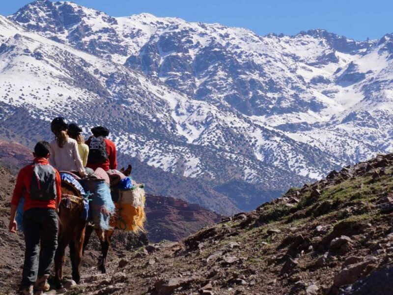 Trek 3 Days and 2 Nights - Berber Villages and Valleys - Inclusions