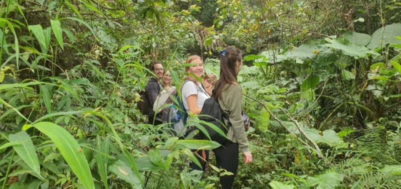 Trek and Kayak: Cat Ba National Park 1 Day Adventure - Environmental Considerations