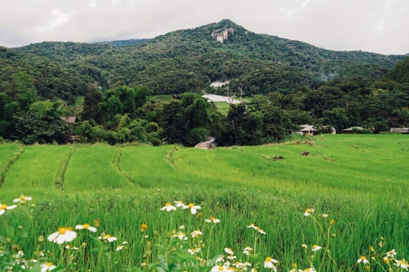 Trek at Doi Inthanon National Park & Pha Dok Siew Trail Trek - Attractions and Activities in the Park