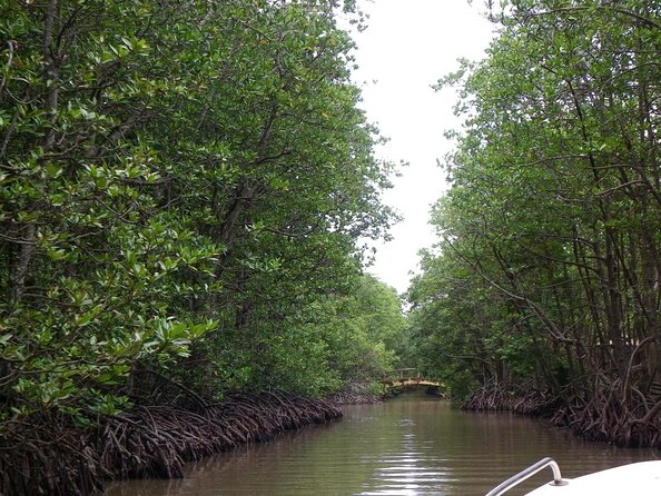 Trek Can Gio Mangrove, Monkey Island With Croc Farm & Cano Option - Exclusions