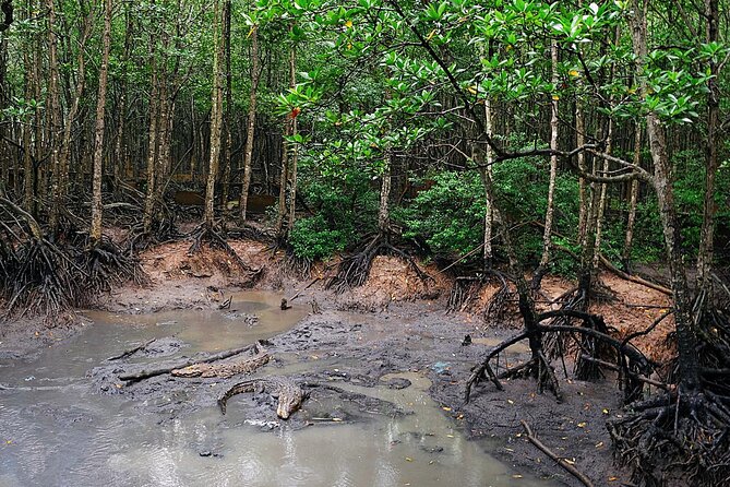 Trek Can Gio Mangrove, Monkey Island With Croc Farm & Cano Option - Additional Information