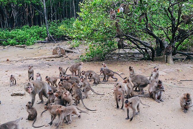Trek Can Gio Mangrove, Monkey Island With Croc Farm & Cano Option - Booking and Cancellation