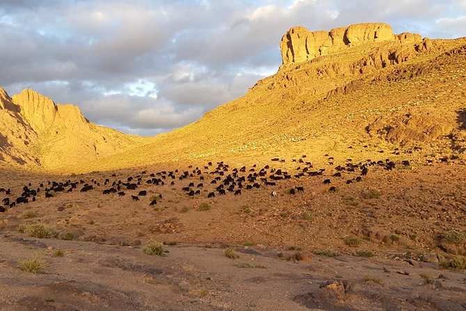 Trek Jebel Saghro Morocco 8 Days - Trekking Jebel Saghro