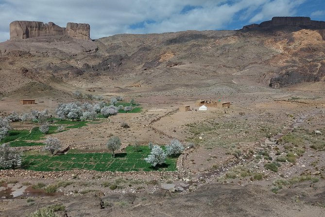 Trek Jebel Saghro Morocco 8 Days - Mule Support and Camping
