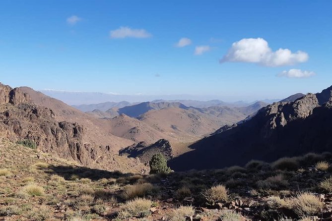 Trek Jebel Saghro Morocco 8 Days - Meals and Cuisine