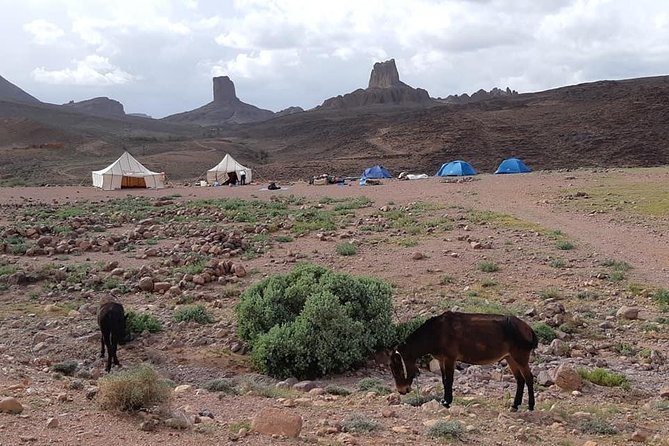 Trek Jebel Saghro Morocco 8 Days - Ratings and Reviews