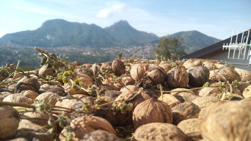 TREK N COOK, Amalfi Coast, Agerola - Key Points