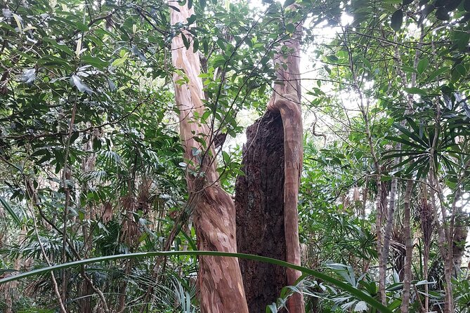 Trek Nui Chua Experience 2D1N, Night in the Jungle - Vinh Hy Bay - Overview of the Trek Nui Chua Experience