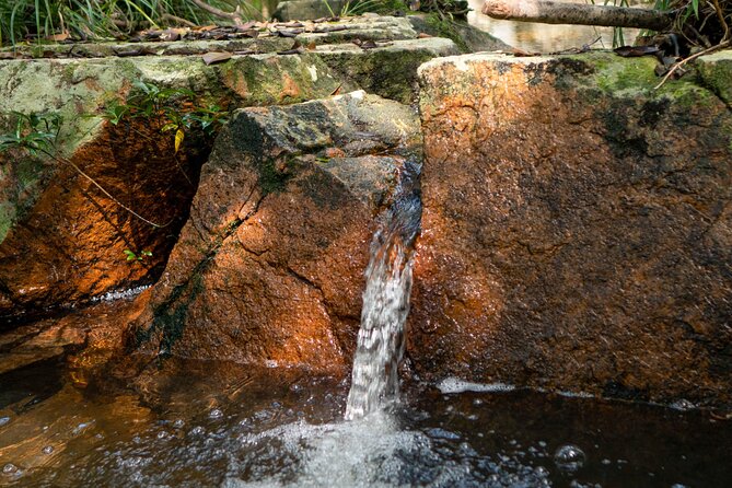 Trek Nui Chua Experience 2D1N, Night in the Jungle - Vinh Hy Bay - Arrival at the Peaceful Campsite