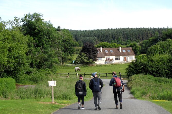 Trek the Tombs and Trails in the Dublin Mountains - Participant Fitness and Medical Considerations