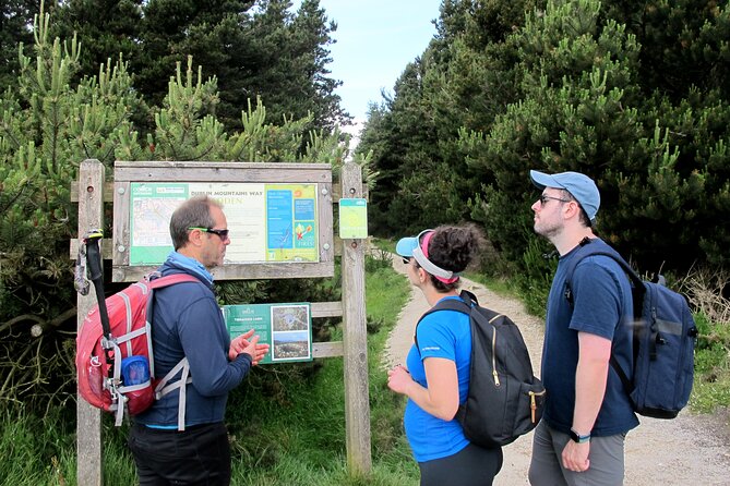 Trek the Tombs and Trails in the Dublin Mountains - Positive Hiker Experiences and Feedback