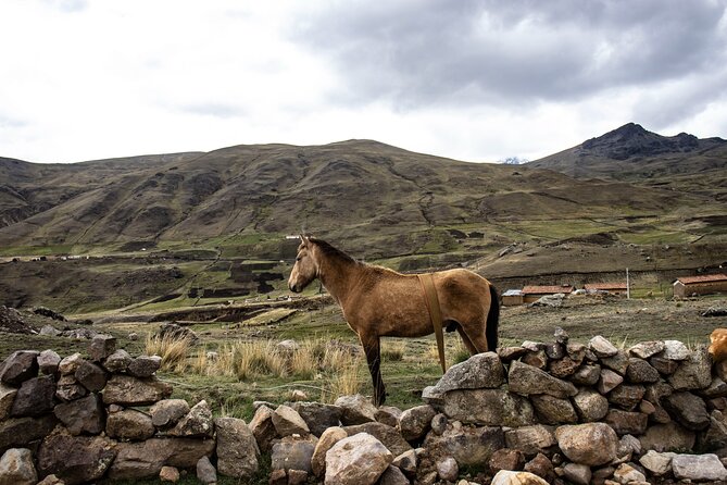 Trek Through the Mountain of Colors Vincunca-Cusco - Hiking Experience and Highlights