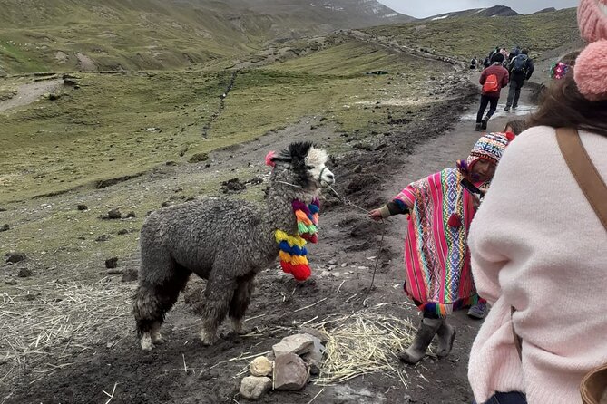 Trek Through the Mountain of Colors Vincunca-Cusco - Inclusions and Pricing Information