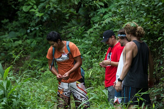 Trek to a Jungle Waterfall - Activity and Difficulty Level