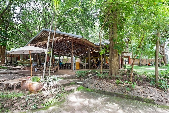 Trek to a Jungle Waterfall - Getting to the Base Camp