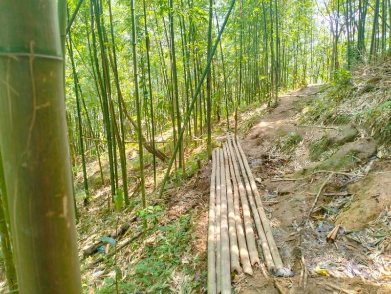 Trek to Local Ethnic Villages & Muong Hoa Valley/Guide/Lunch - Inclusions and Exclusions