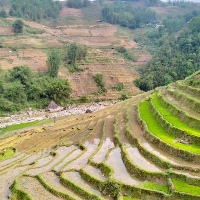Trek to Local Ethnic Villages & Muong Hoa Valley/Guide/Lunch - Tour Group Size
