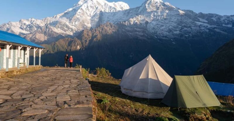 Trek to Mardi Himal With Children - Trekking Through Lush Forests