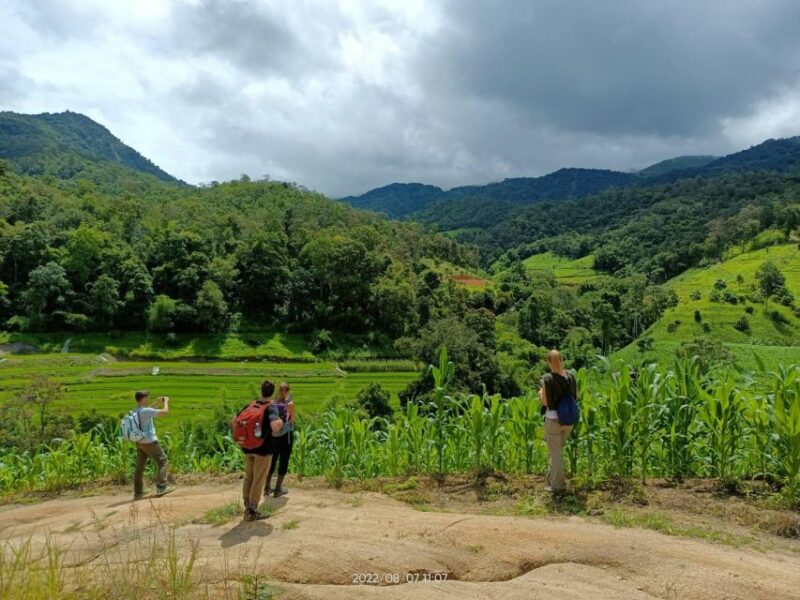 Trekking 2 Days 1 Night With Elephant Care + Bamboo Rafting - Key Points
