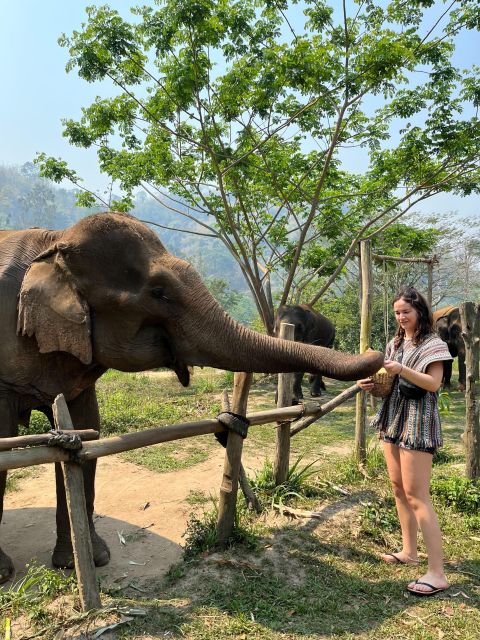 Trekking 2 Days 1 Night With Elephant Care + Bamboo Rafting - Frequently Asked Questions