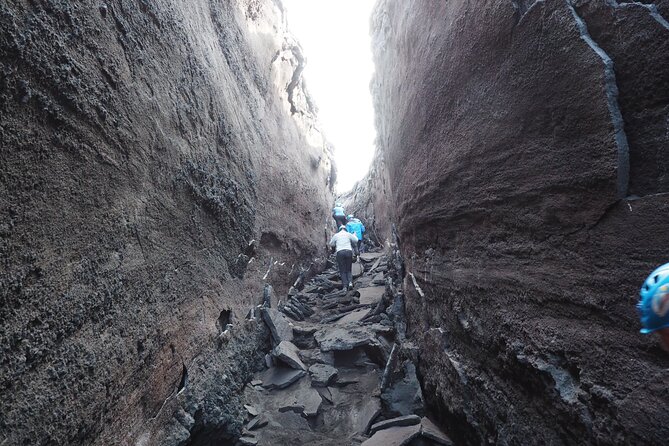 Trekking 3000 From Etna Sud With Alpine Guide - Overview of the Experience